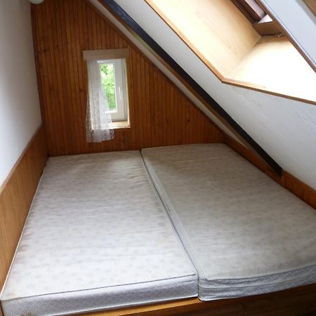Penzion Pod Studenovem Rokytnice nad Jizerou Bagian luar foto