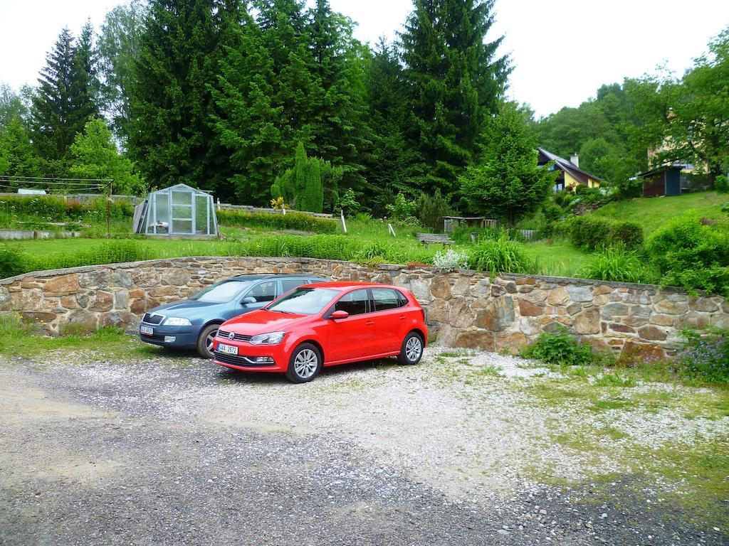 Penzion Pod Studenovem Rokytnice nad Jizerou Bagian luar foto